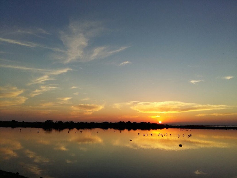 Pensamiento simiente 3 septiembre 2015: os convertís en otro ser, os eleváis …