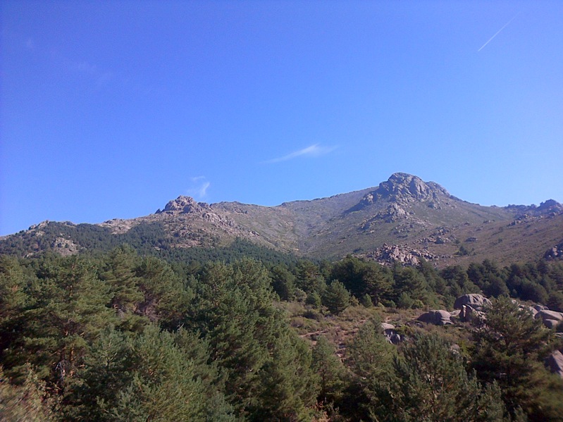 Pensamiento simiente 14 septiembre 2015: viviréis la verdadera poesía