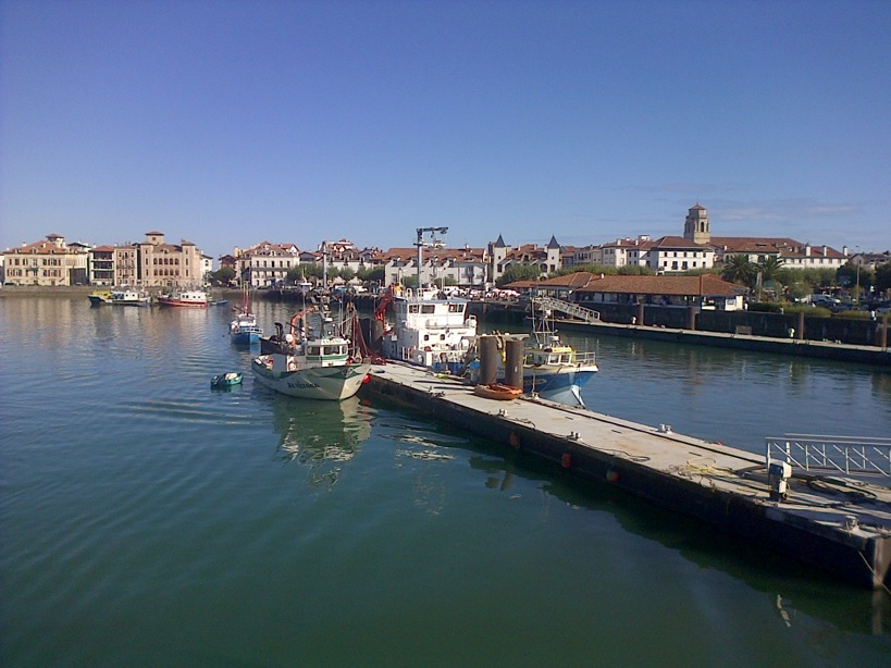 Pensamiento simiente 2 septiembre 2015: cultivar la armonía