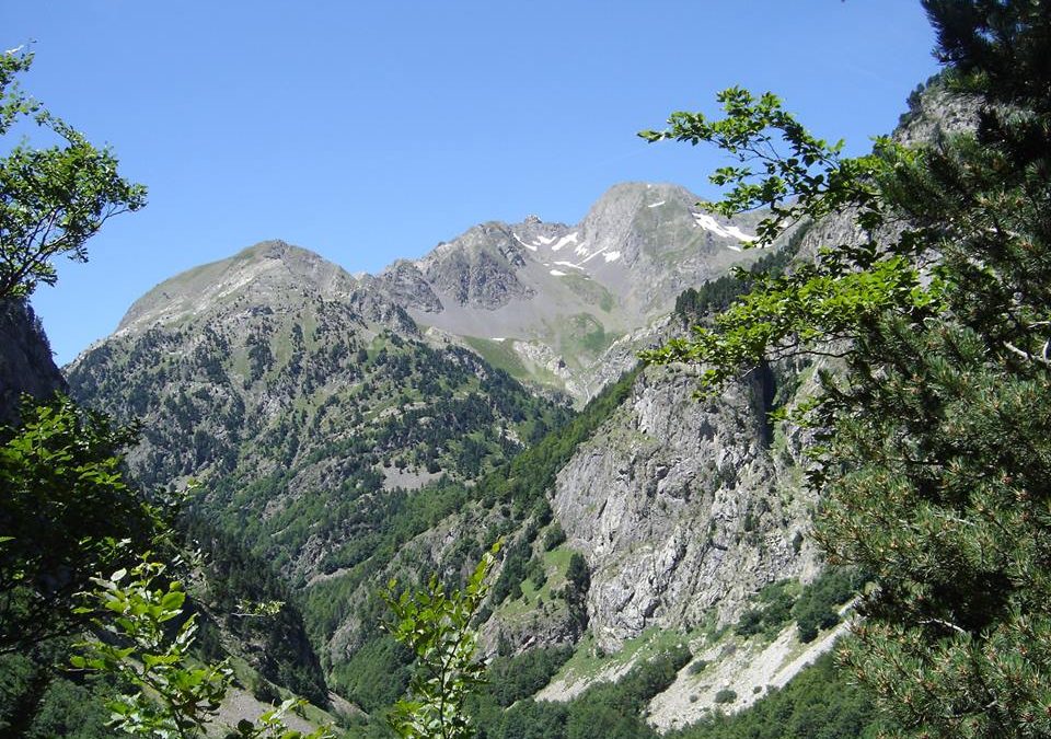 Pensamiento simiente 28 septiembre 2015: como si estuviese habitado por una luz que no le abandona nunca