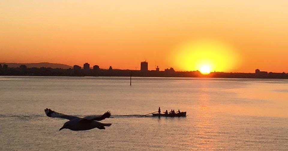 Pensamiento simiente 30 octubre  2015: pronto sentiréis una claridad en vuestro interior, una certeza…