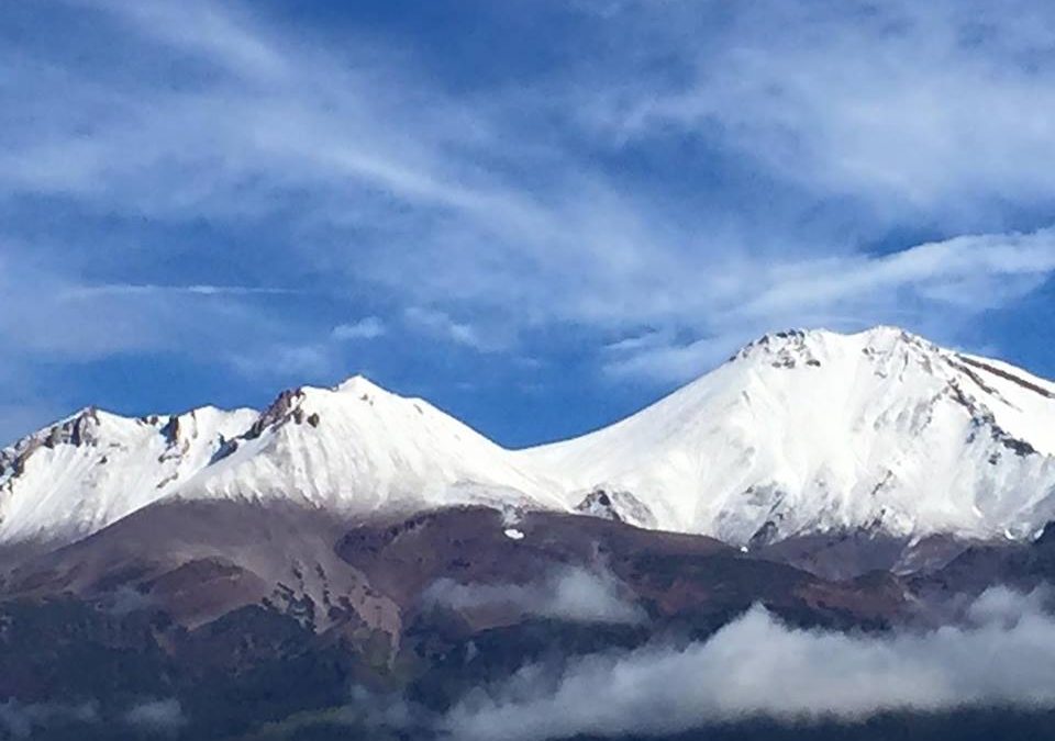 Pensamiento simiente 15 diciembre 2015: no os extenuéis con la preocupación …