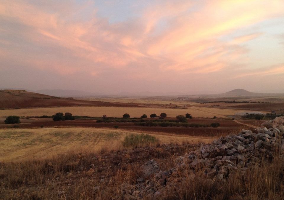 Pensamiento simiente 1 octubre 2015: “Si eres luz, irás hacia la luz…”