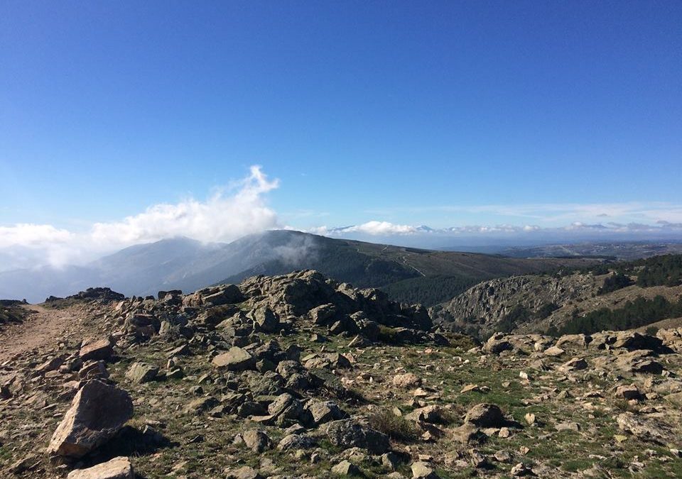 Pensamiento simiente 11 noviembre  2015: un mundo, una humanidad