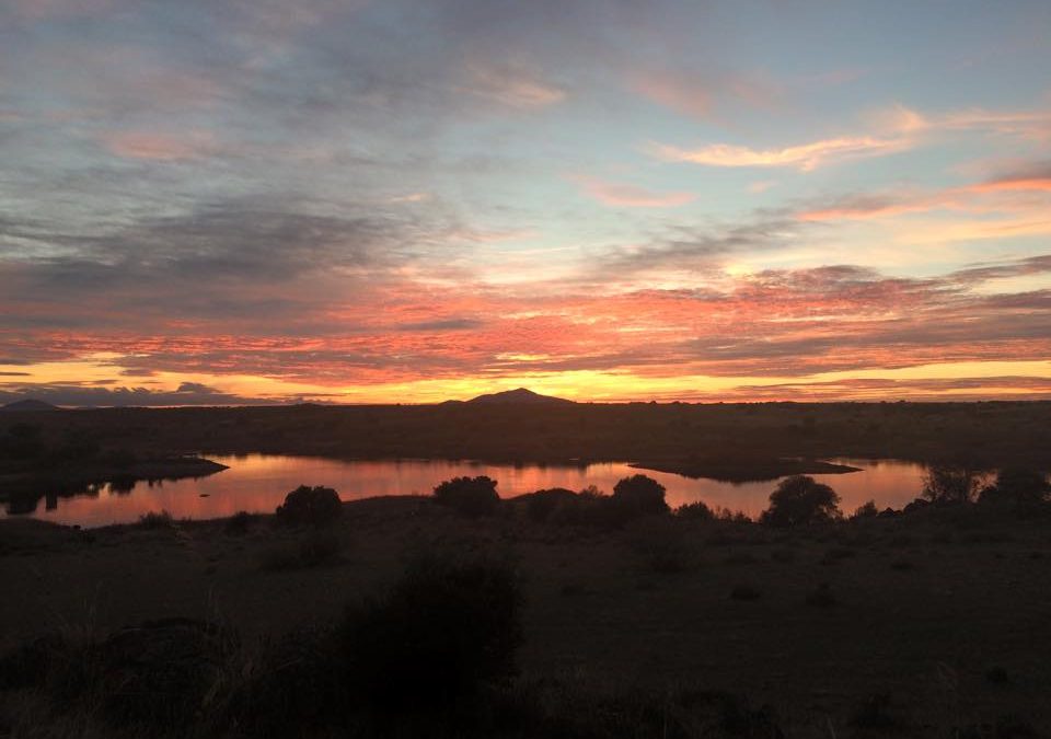 Pensamiento simiente 6 noviembre  2015: hablar con amor …