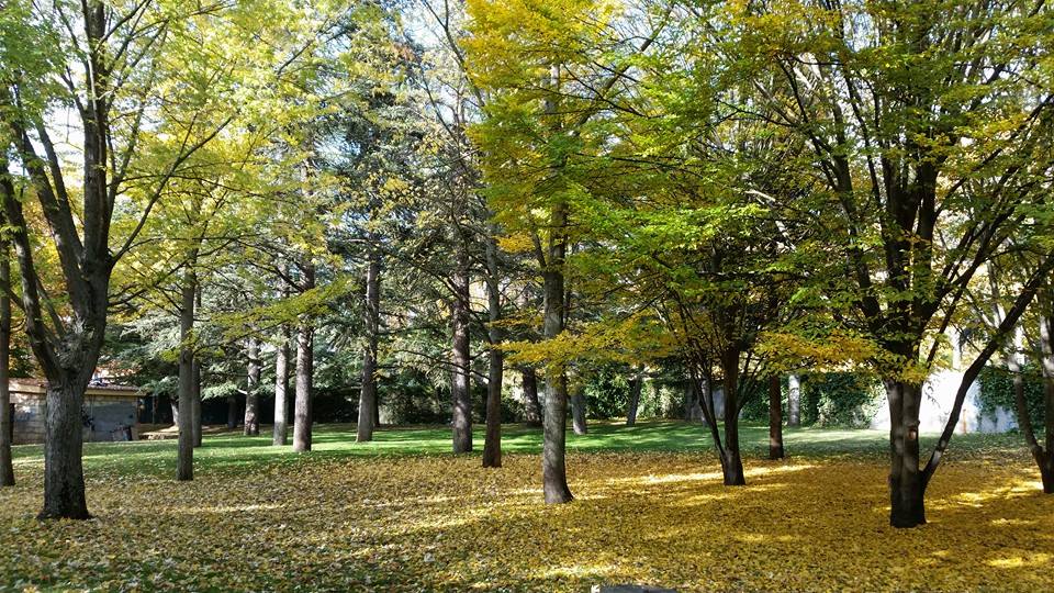 Pensamiento simiente 5 noviembre  2015: trabajar para el bien de la humanidad de un modo impersonal…