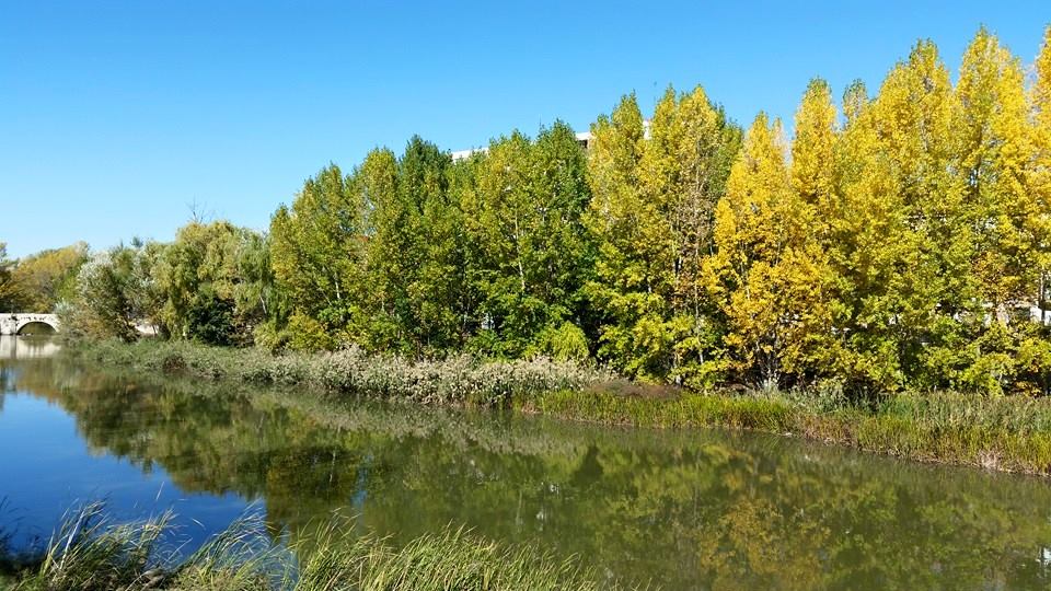 Pensamiento simiente 2 noviembre  2015: todo lo que hacéis para vuestra única satisfacción personal no puede durar…