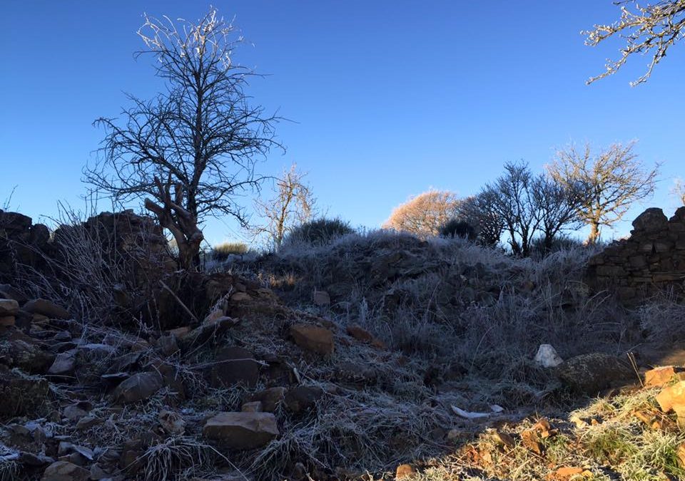 Pensamiento simiente 23 diciembre 2015: avanzar por el camino de la sabiduría, del amor y de la verdad…