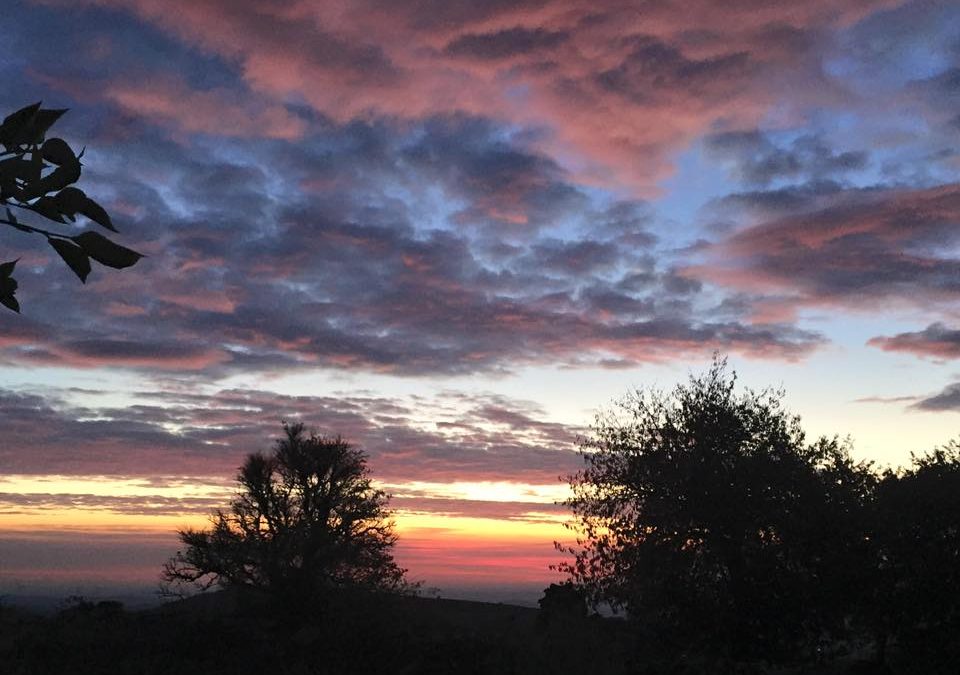 Pensamiento simiente 1 diciembre 2015: ante todo un estado de conciencia…