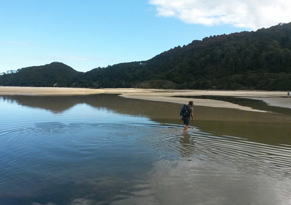 Pensamiento simiente 2 diciembre 2015: que paséis por altos y bajos, es normal….