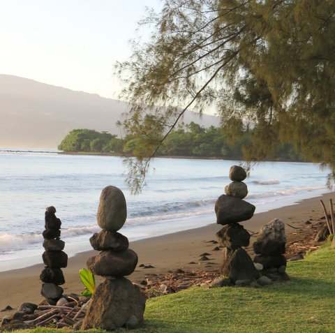 Pensamiento simiente 18 diciembre 2015: seguir siempre abierto a la vida