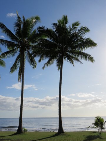 Pensamiento simiente 16 diciembre 2015: franquead los Portales del Conocimiento…