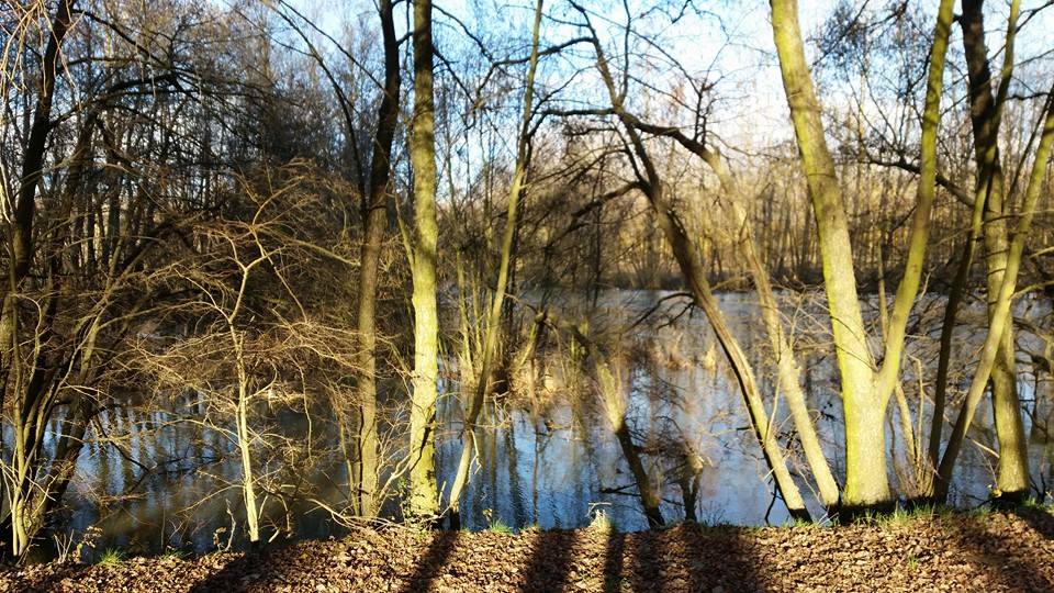 Pensamiento simiente 15 enero 2016: las cualidades, las virtudes, los dones