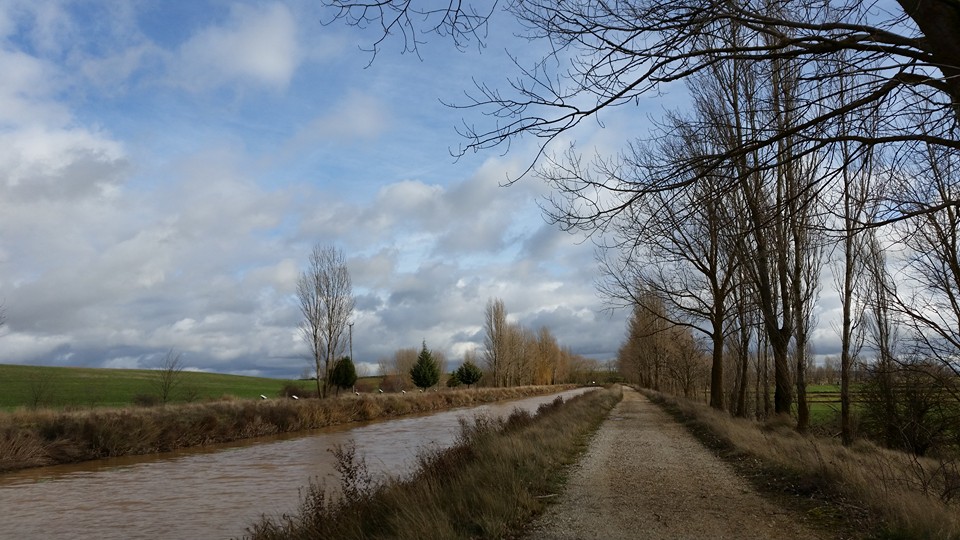 Pensamientos de diciembre: alegraros por todas las inagotables riquezas de la vida, y vosotros mismos os volveréis más vivos…