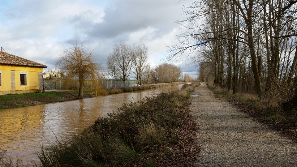 Pensamiento simiente 21 enero 2016: la responsabilidad de nuestro pensamiento