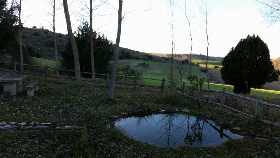 Pensamiento simiente 27 enero 2016: un círculo perfecto…