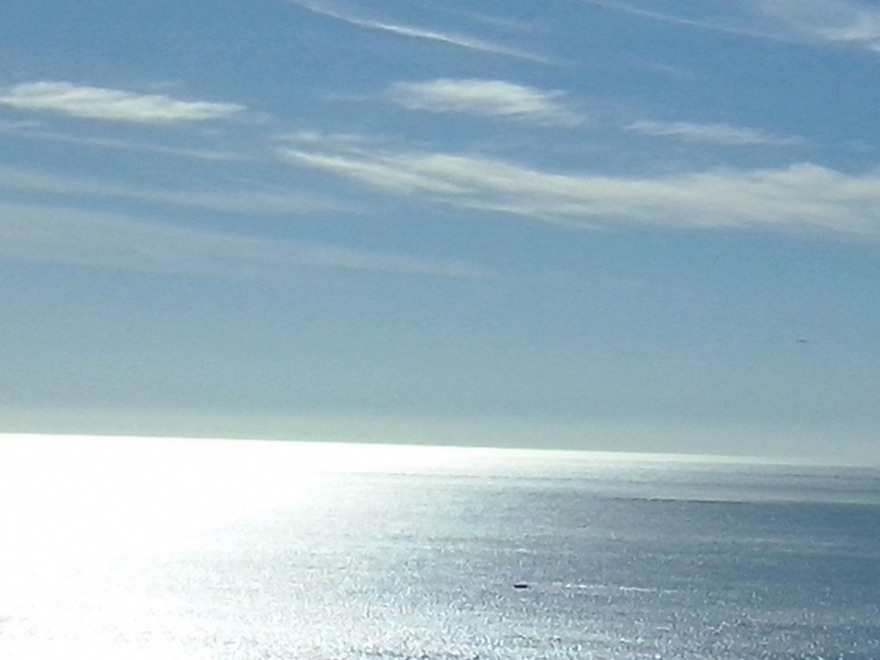 Pensamiento simiente 1 enero 2016: concentraos en un pensamiento divino, formulad un deseo divino, y vivid toda esta jornada de tal manera que se grabe en vosotros…