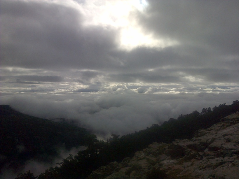 Pensamiento simiente 12 enero 2016: armonizarse con el conjunto