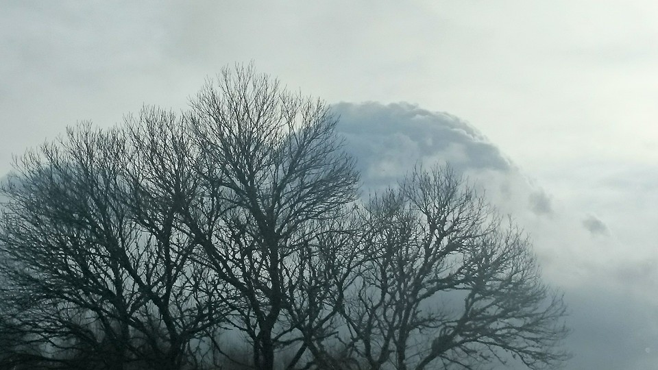 Pensamiento simiente 13 enero 2016: sintonizar con ritmos más armoniosos