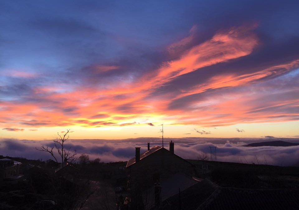 Pensamiento simiente 8 enero 2016: manifestaros por todas partes como una presencia benéfica…