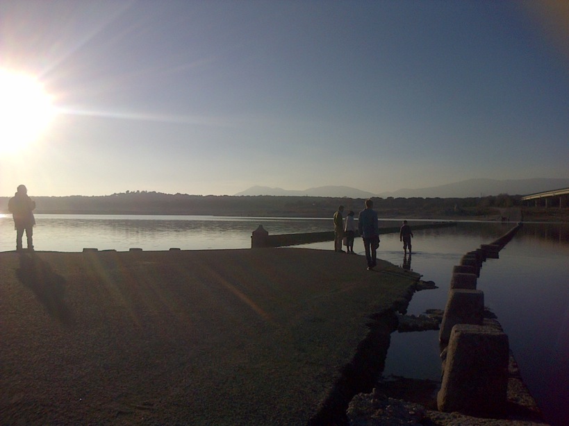 Pensamiento simiente 11 enero 2016: la síntesis