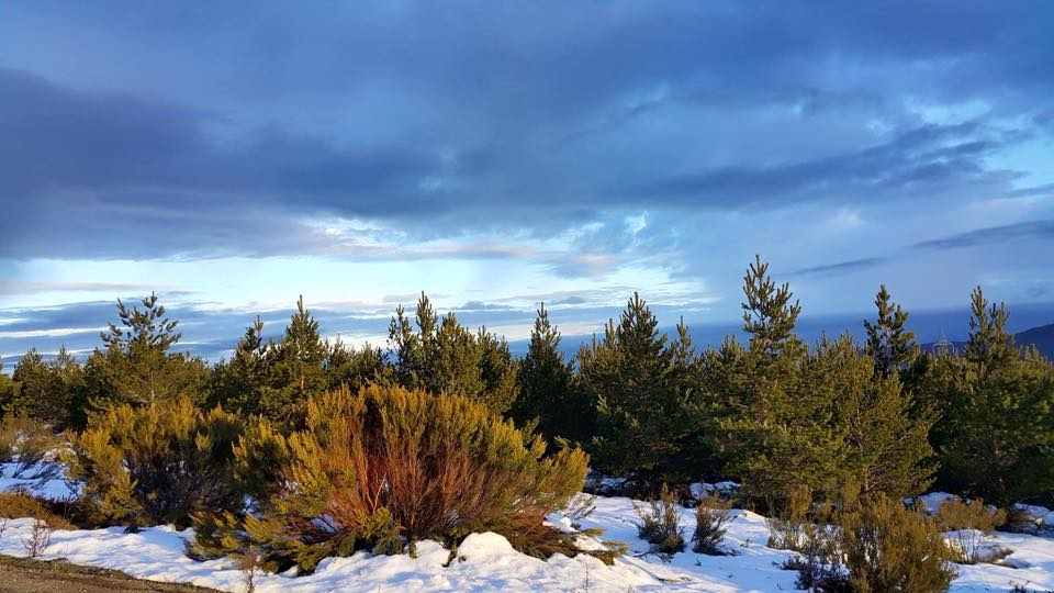 Pensamiento simiente 26 febrero 2016: si estos pensamientos son justos, generosos, os llegarán bendiciones…