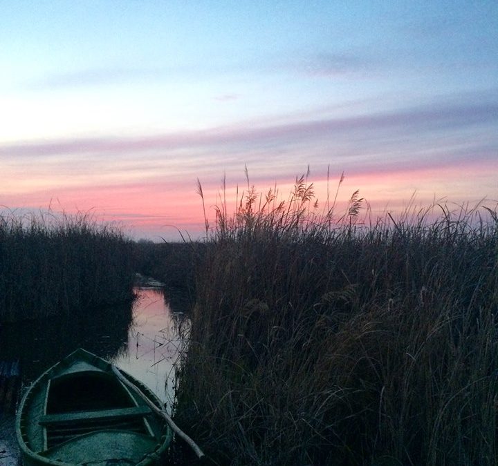Pensamiento simiente 3 febrero 2016:  más lúcidos, más pacientes, más generosos…