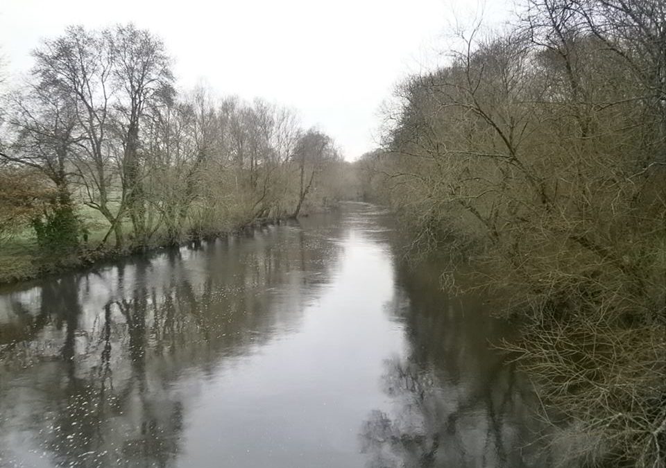 Pensamiento simiente 11 febrero 2016: ese puente milagroso