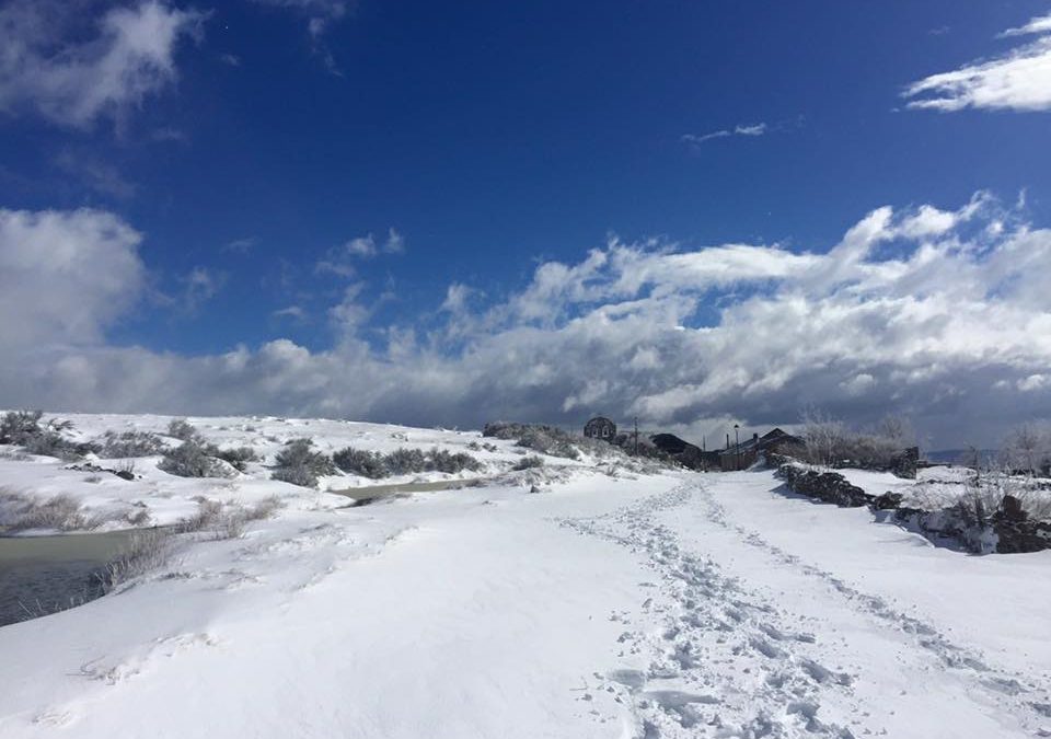 Pensamiento simiente 19 febrero 2016: la gratitud