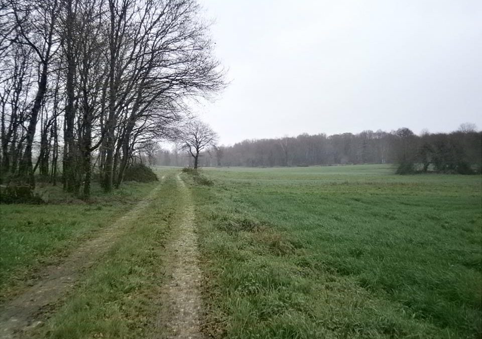 Pensamiento simiente 10 febrero 2016: el regreso a la luz del alma