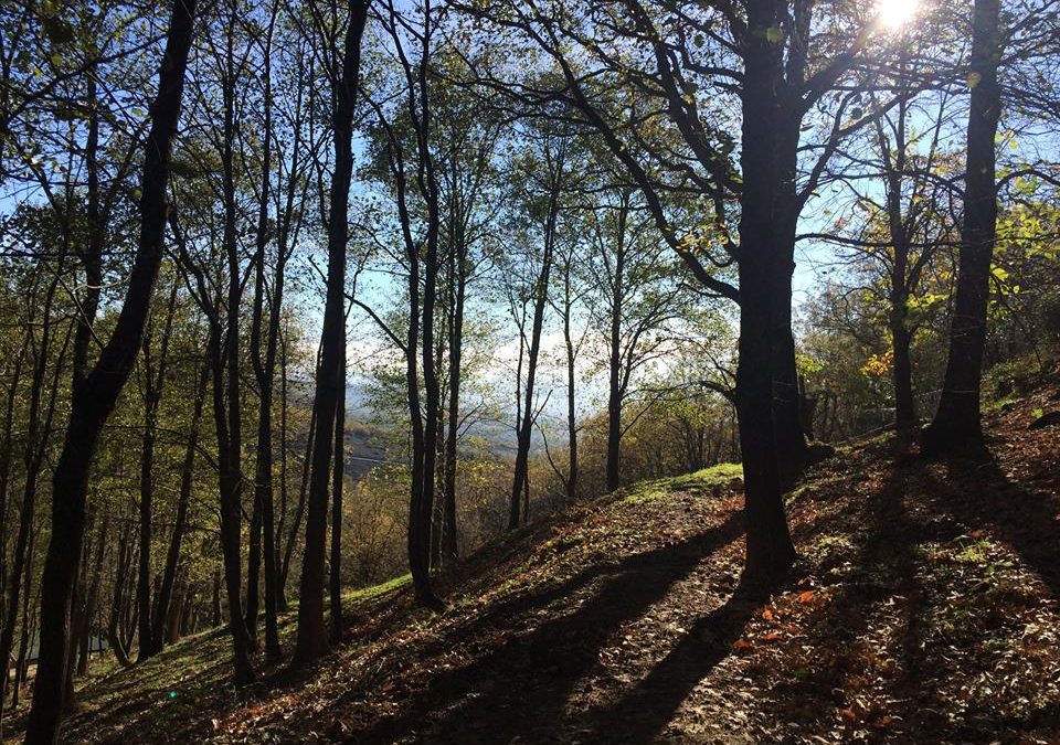 Pensamiento simiente 2 febrero 2016: vuestra vida puede enriquecerse