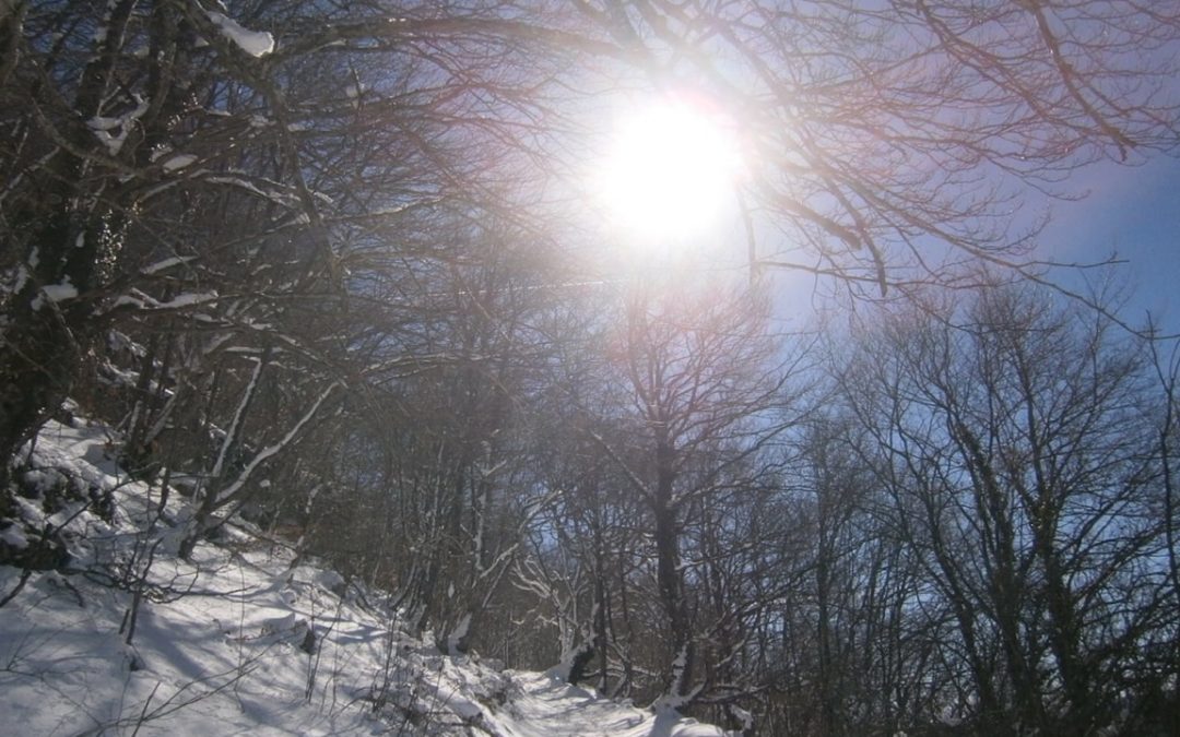 Pensamiento simiente 22 febrero 2016: llegar a ser luminosos, cálidos, vivificantes…