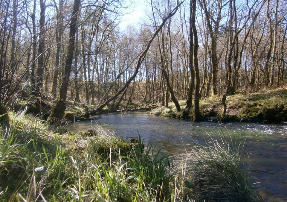 Pensamiento simiente 21 marzo 2016: que produzcamos flores con colores tornasolados, que demos perfumes exquisitos, que ofrezcamos frutos deliciosos…