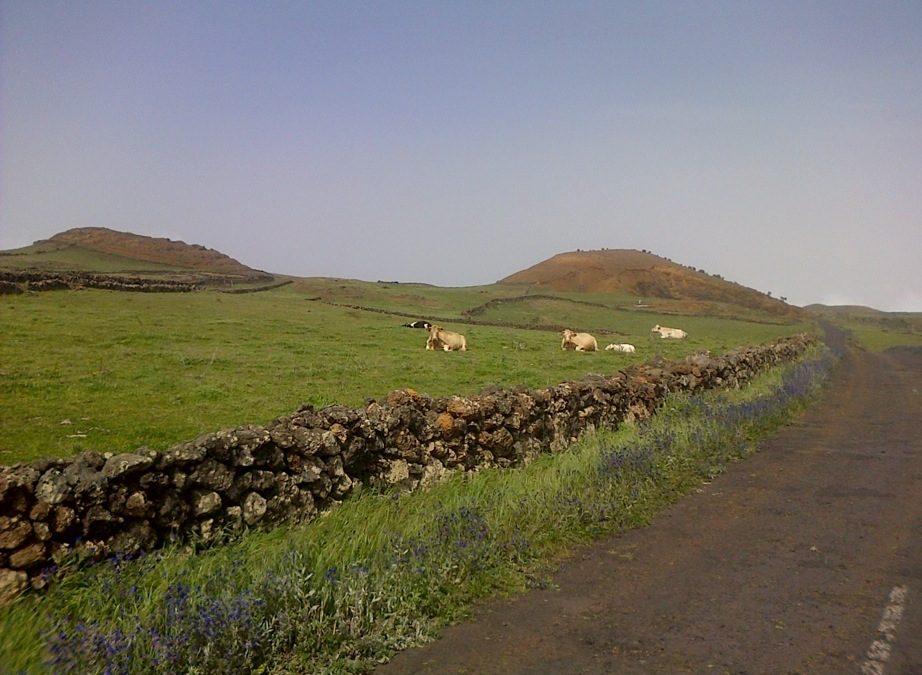 Pensamiento simiente 3 marzo 2016: vuestra visión del mundo exterior no es otra cosa que un reflejo de vuestro mundo interior