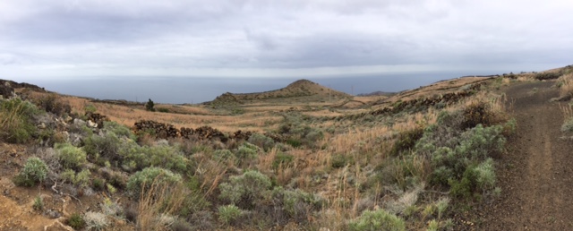 Pensamiento simiente 8 marzo 2016: en el morir a lo que no es nace el Ser