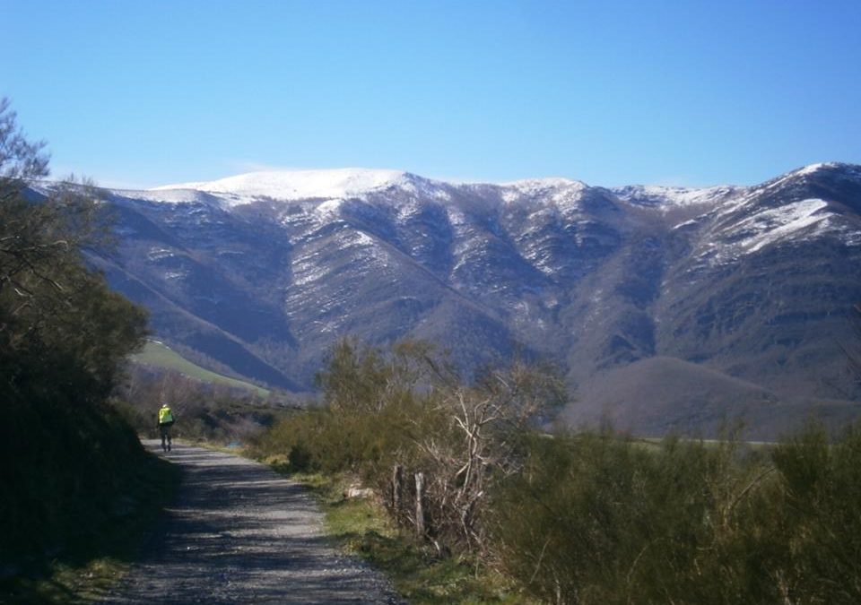 Pensamiento simiente 18 marzo 2016: abrirse, renovarse