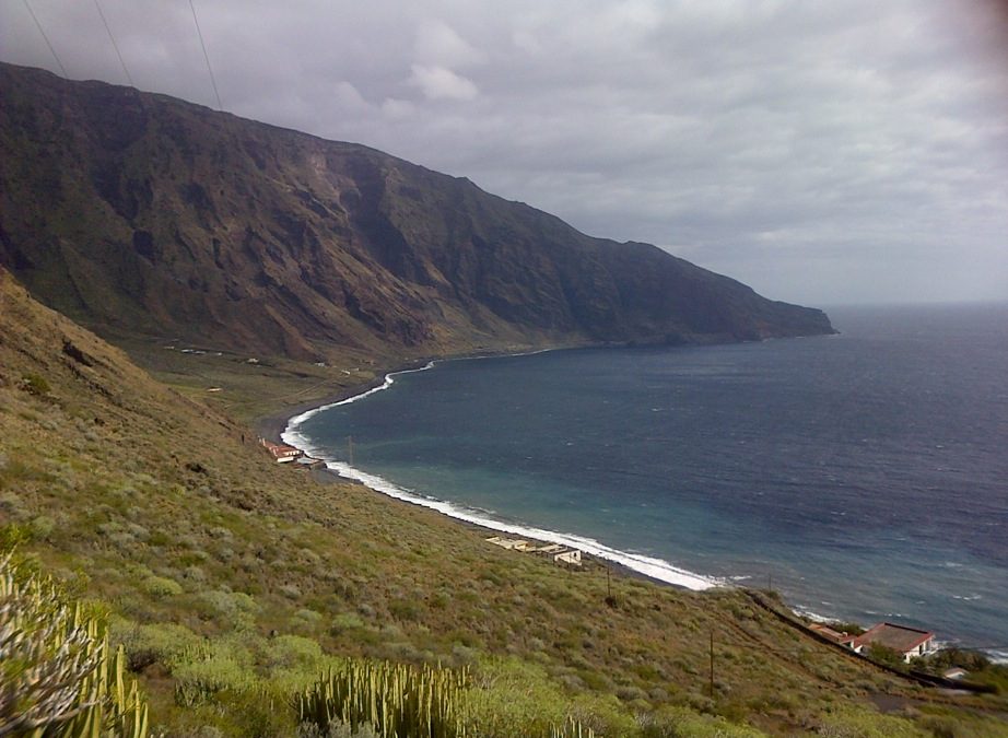 Pensamiento simiente 2 marzo 2016: la madera muerta