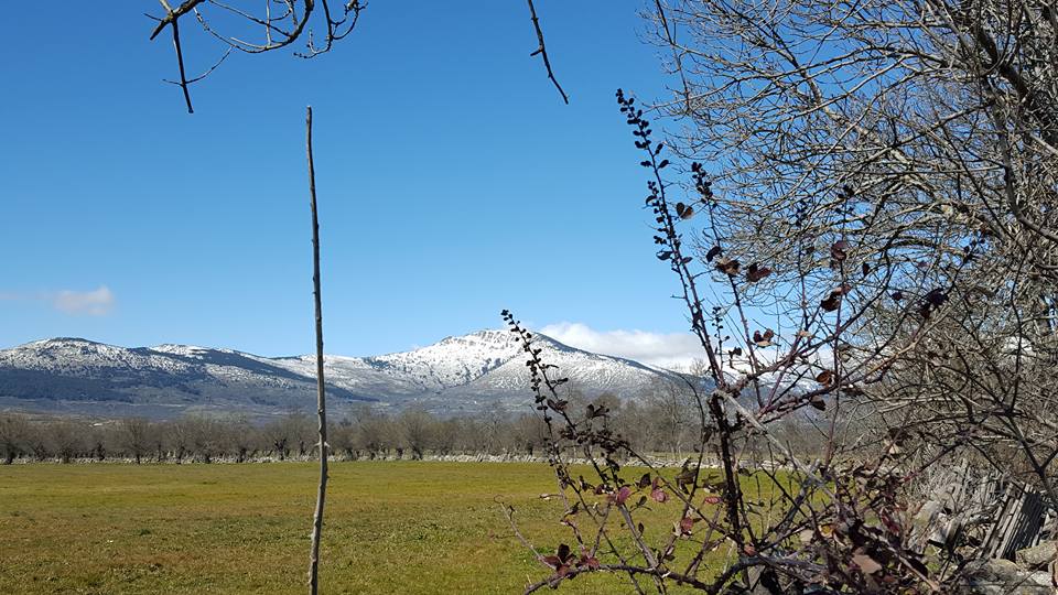 Pensamiento simiente 14 marzo 2016: restableciendo la Fuente