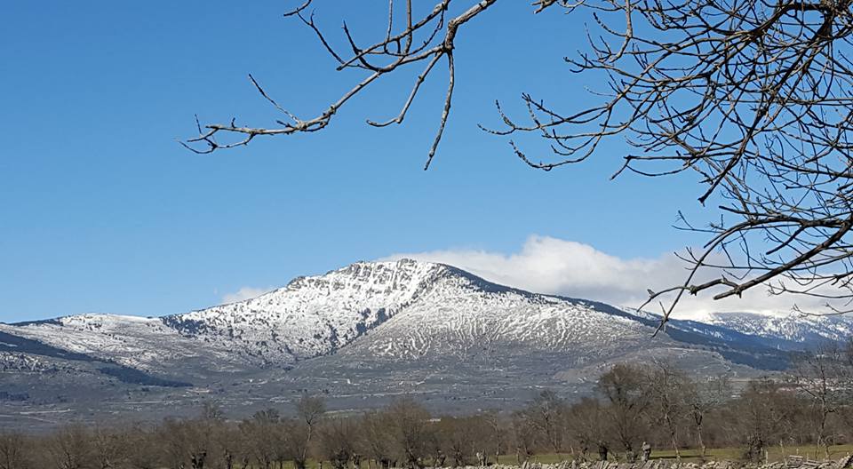 Pensamiento simiente 15 marzo 2016: el sol, que nos mira cada día, también nos envía ondas vivificantes