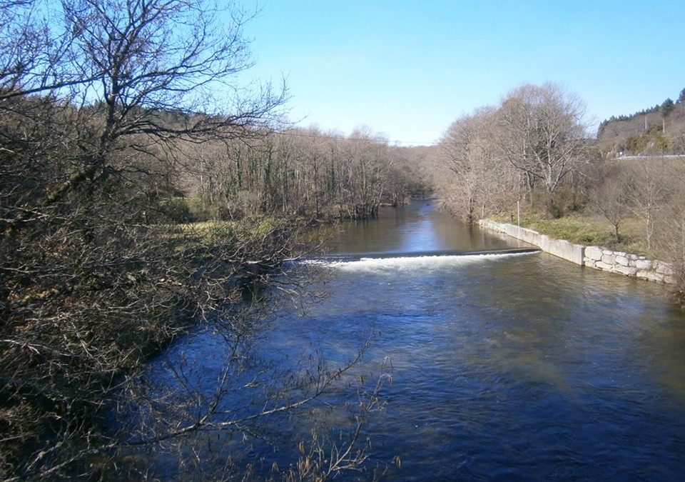 Pensamiento simiente 29 marzo 2016: se encuentran en el espacio, se saludan, se penetran con puros rayos…