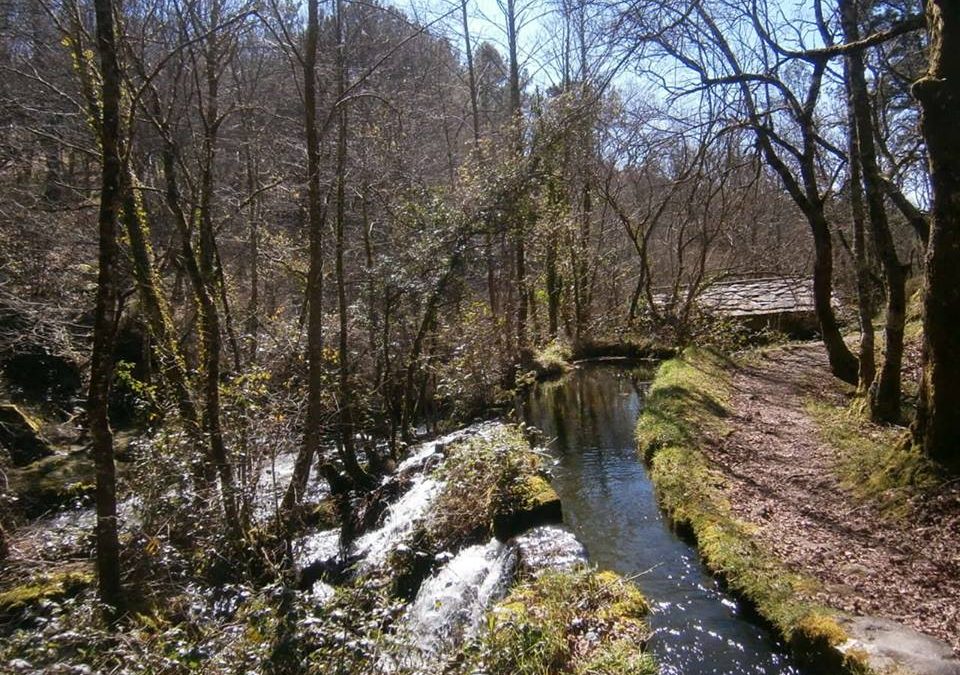 Pensamiento simiente 31 marzo 2016: trabajando con el Padre