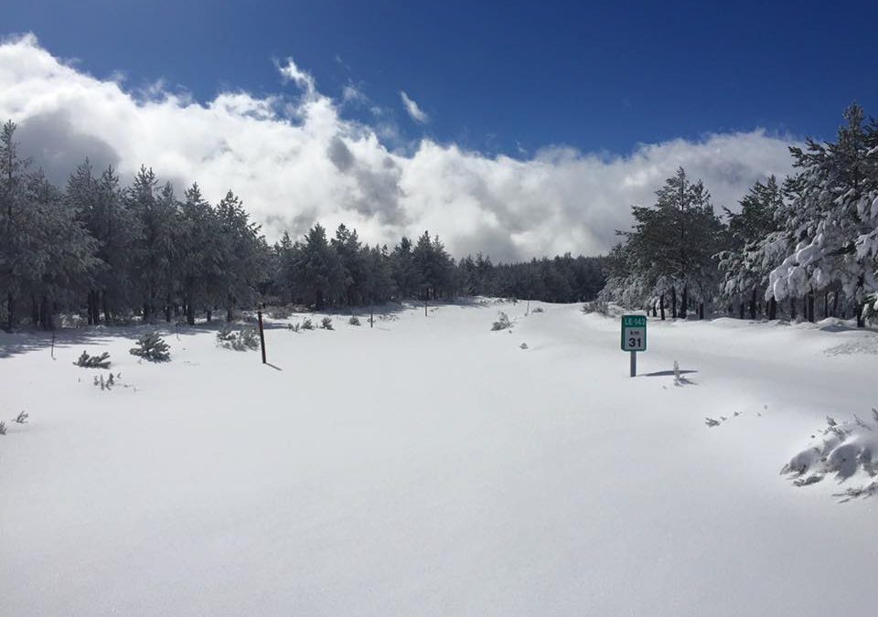 Pensamiento simiente 11 marzo 2016: conservar la vida pura y luminosa