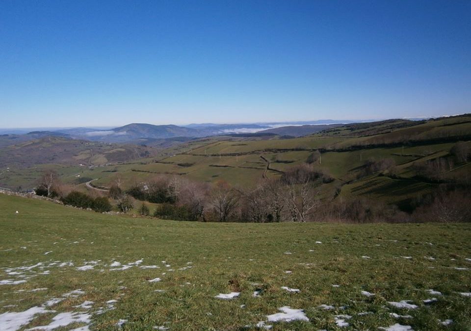 Pensamiento simiente 16 marzo 2016: ¡decidles que queréis entrar en su armonía!