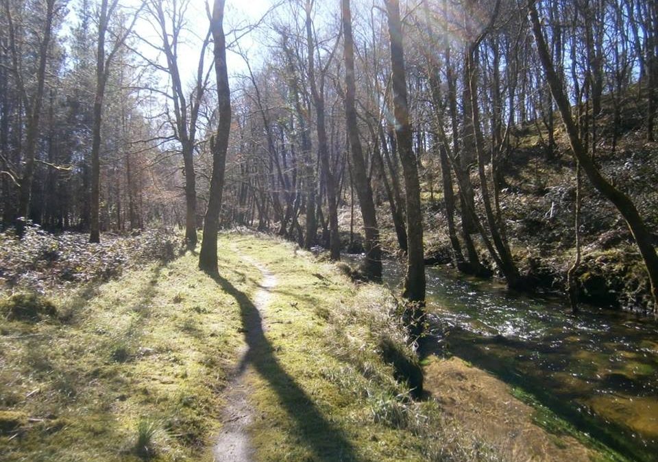 Pensamiento simiente 24 marzo 2016: los forjadores de hermandad, paz y amistad