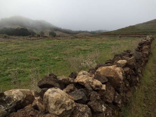 Pensamiento simiente 10 marzo 2016: coherencia