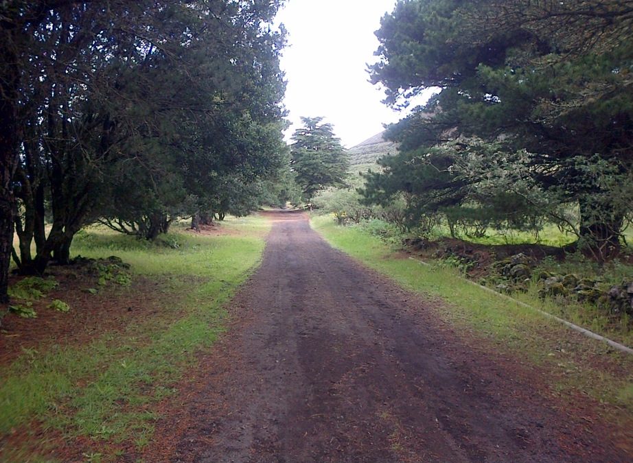 Pensamiento simiente 1 marzo 2016: mantener la chispa viva dentro de nosotros