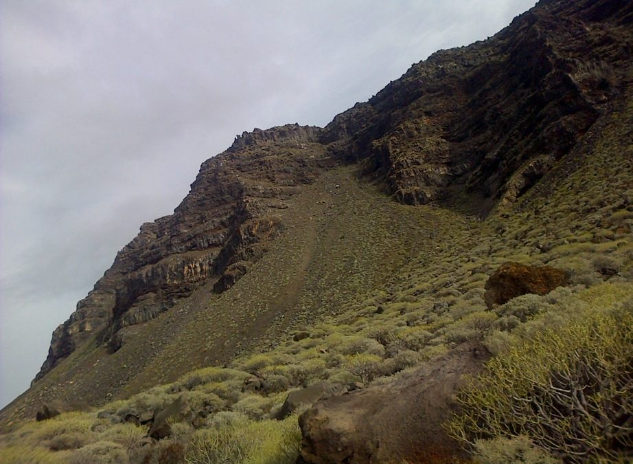 Pensamiento simiente 7 marzo 2016: la verdadera misión