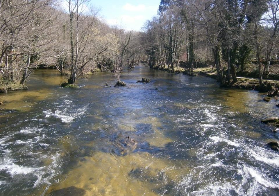 Pensamiento simiente 25 marzo 2016: nuestros viejos hábitos, nuestras viejas concepciones erróneas…