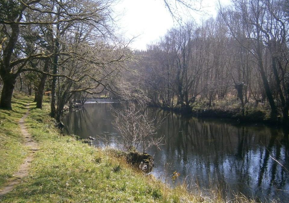 Pensamiento simiente 28 marzo 2016: las preciosas visitas celestiales