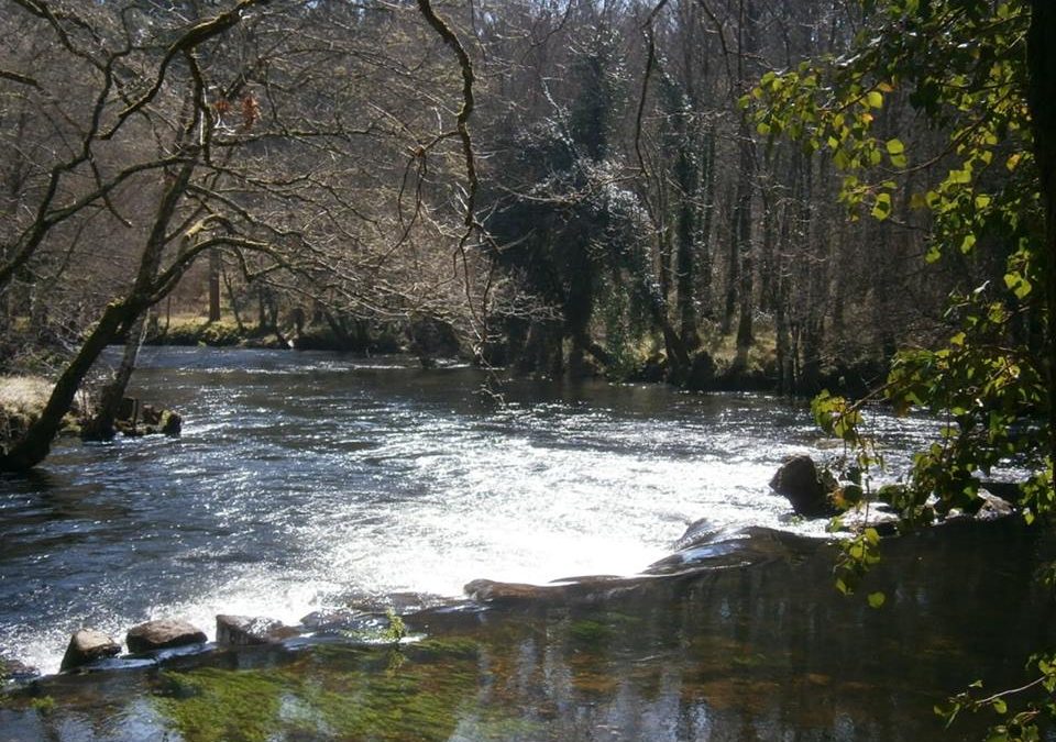 Pensamiento simiente 22 marzo 2016: realizar, crear, bendecir…